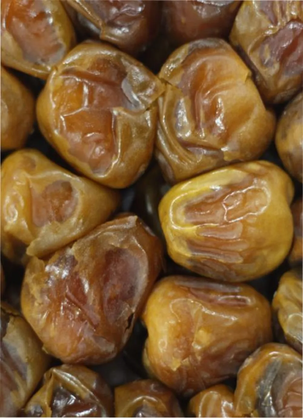 Paket Kurma Ramadan Keluarga — Sukari 2×500 g + Safawi 1 kg